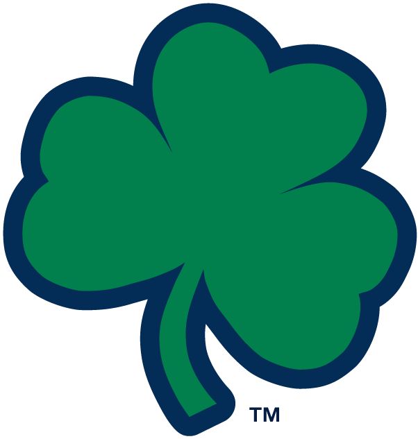 Notre Dame Fighting Irish 1994-Pres Alternate Logo v6 diy fabric transfer